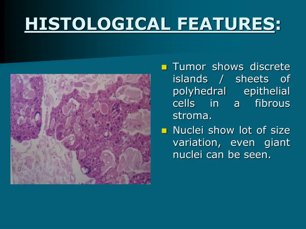 histological features 1