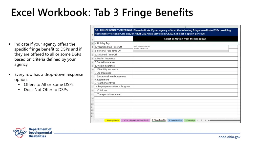 excel workbook tab 3 fringe benefits