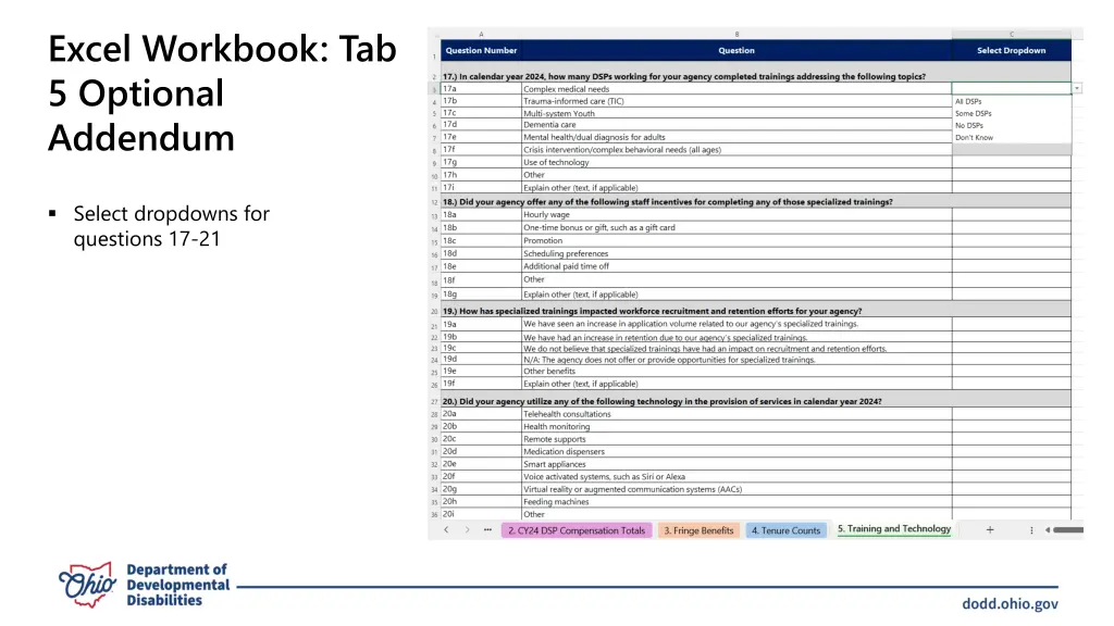 excel workbook tab 5 optional addendum