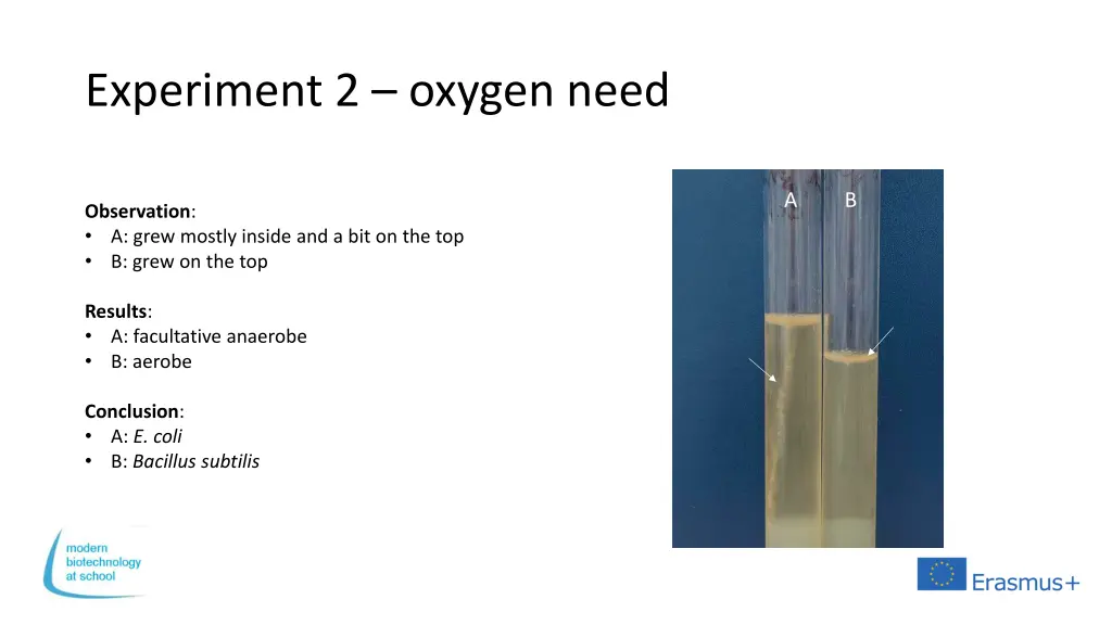 experiment 2 oxygen need