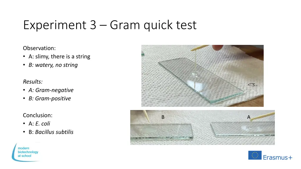 experiment 3 gram quick test