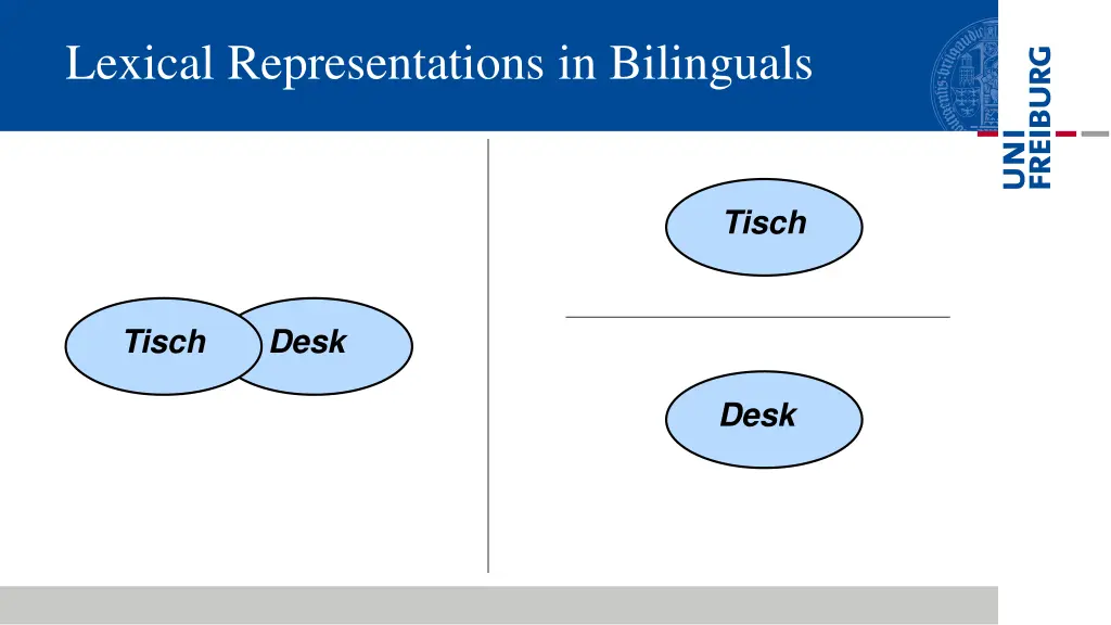 lexical representations in bilinguals 1