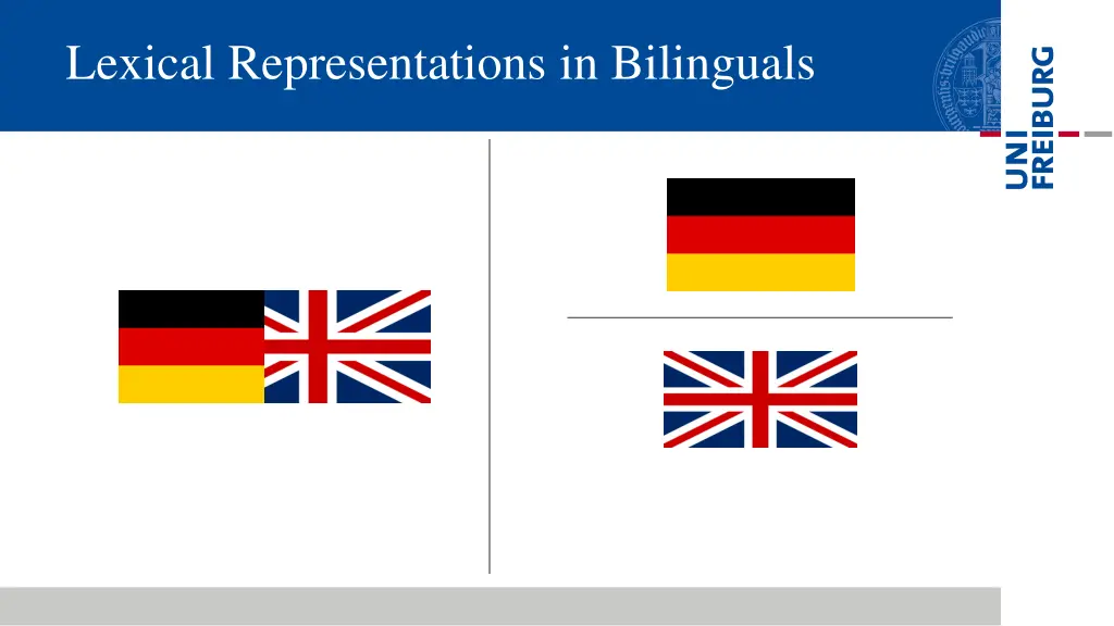 lexical representations in bilinguals 2