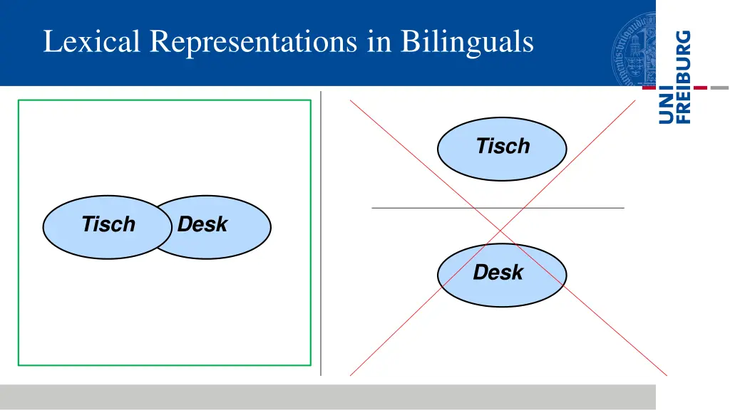 lexical representations in bilinguals 3