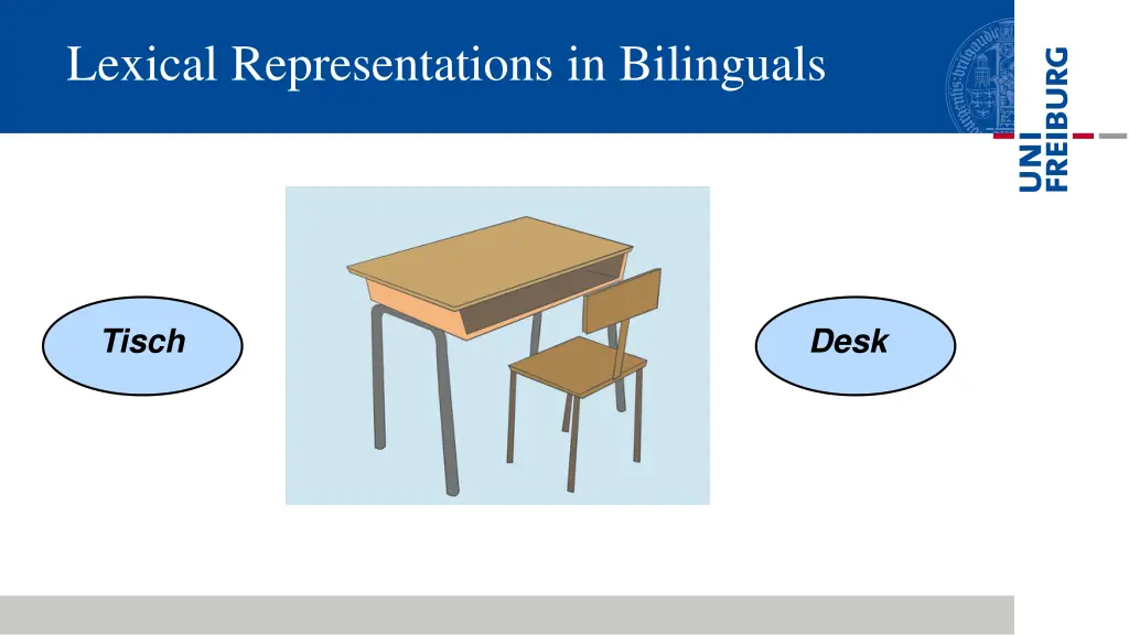 lexical representations in bilinguals