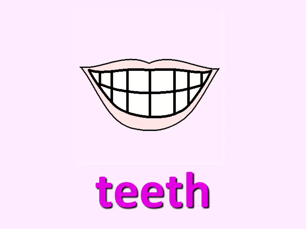 teeth