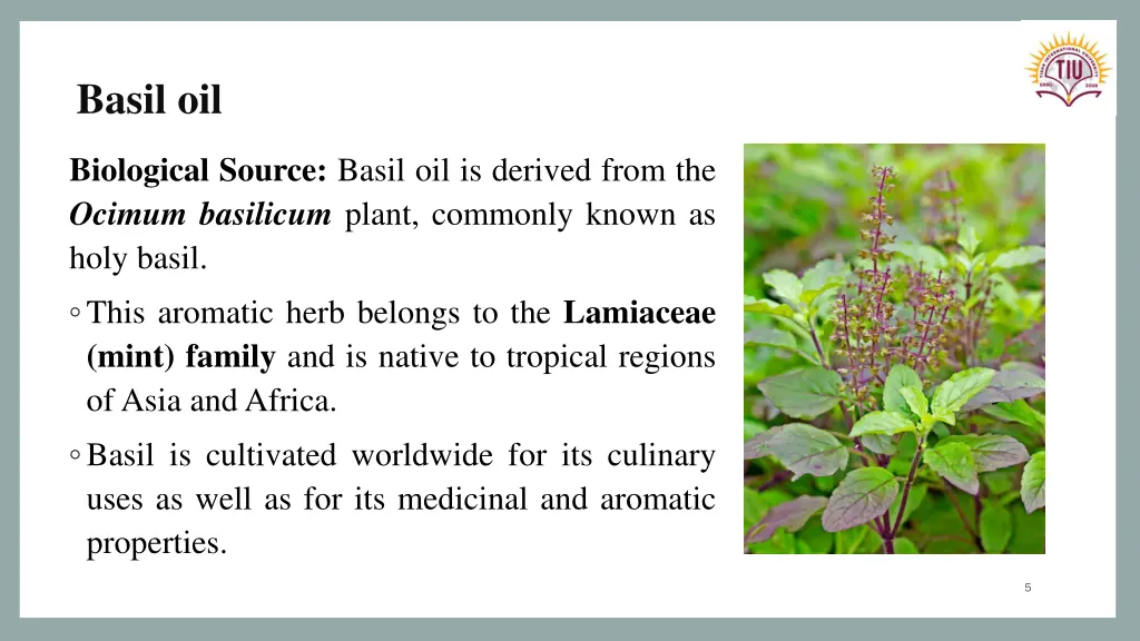 basil oil
