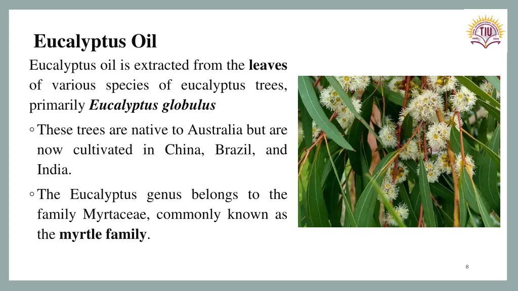 eucalyptus oil