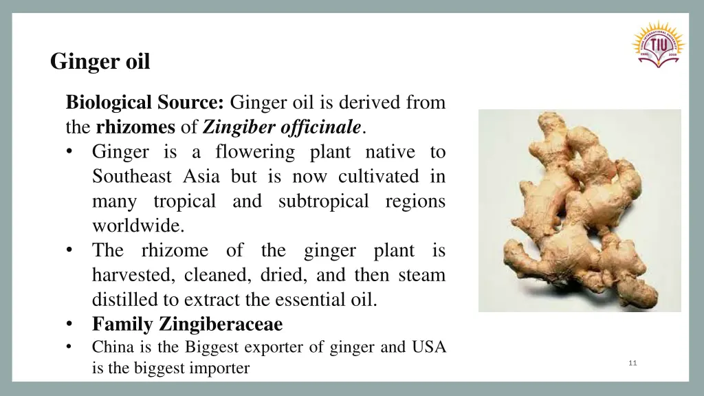 ginger oil