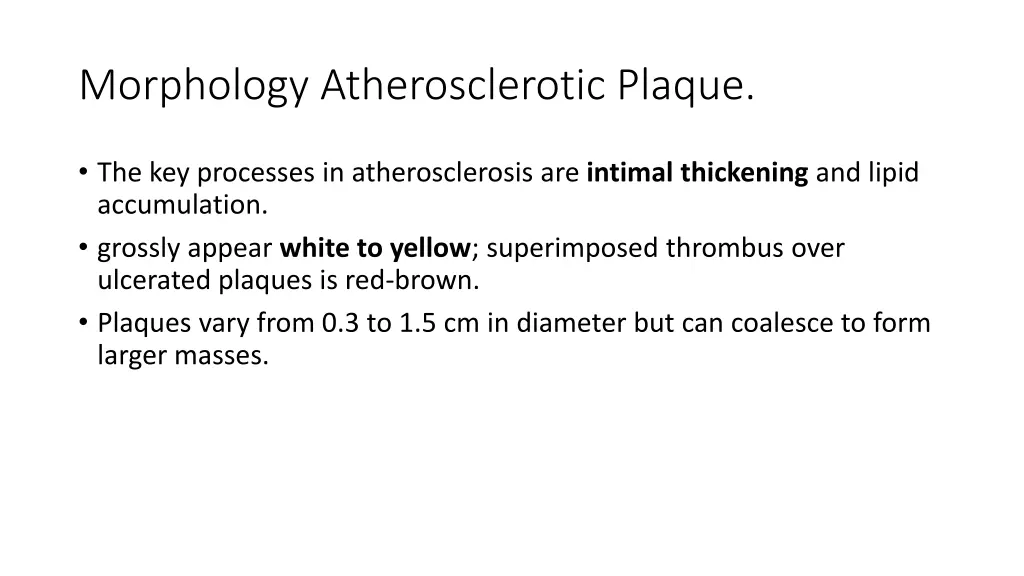 morphology atherosclerotic plaque