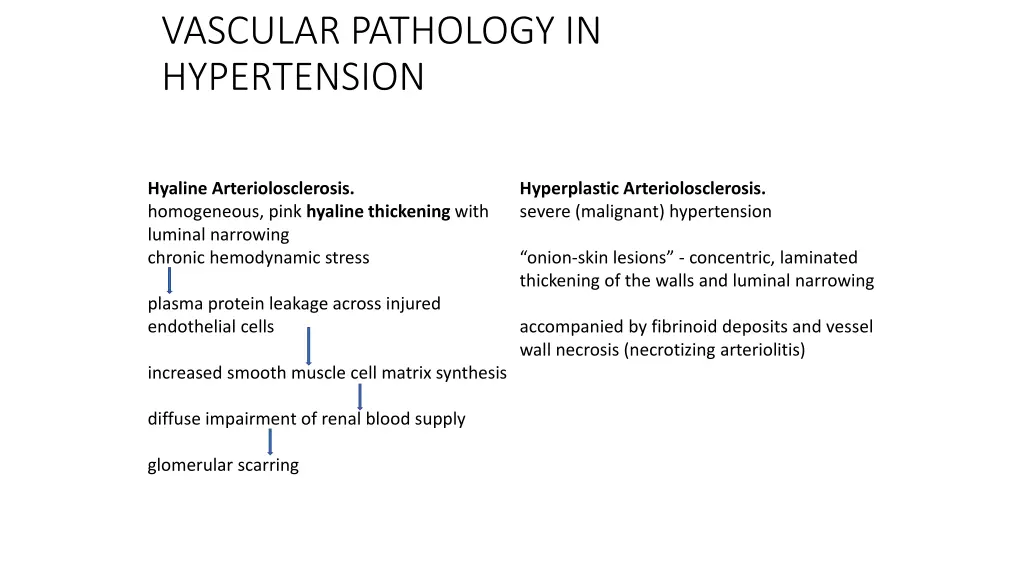 vascular pathology in hypertension