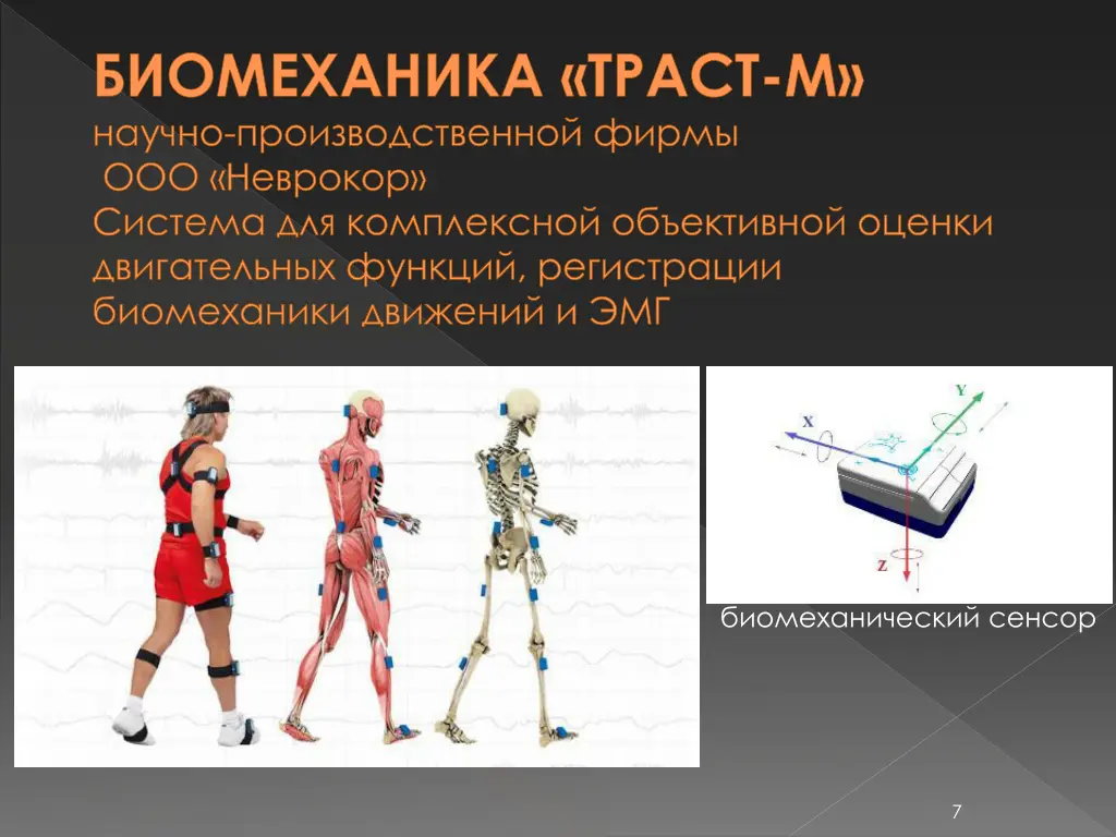 slide7
