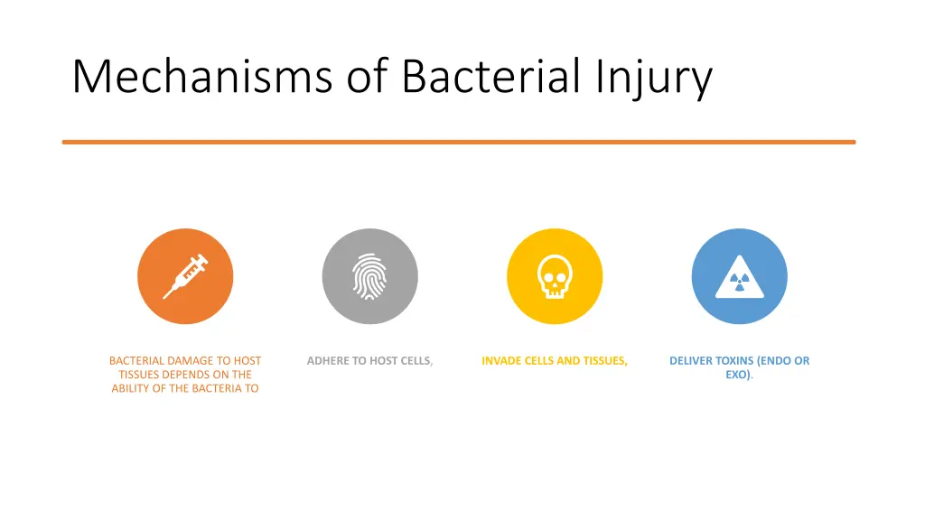 mechanisms of bacterial injury