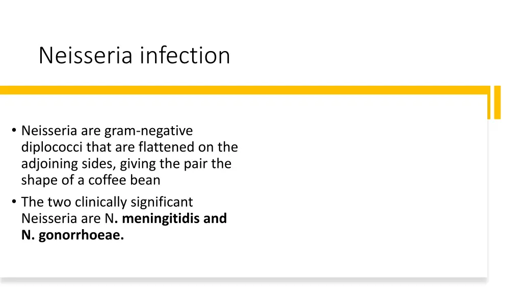 neisseria infection