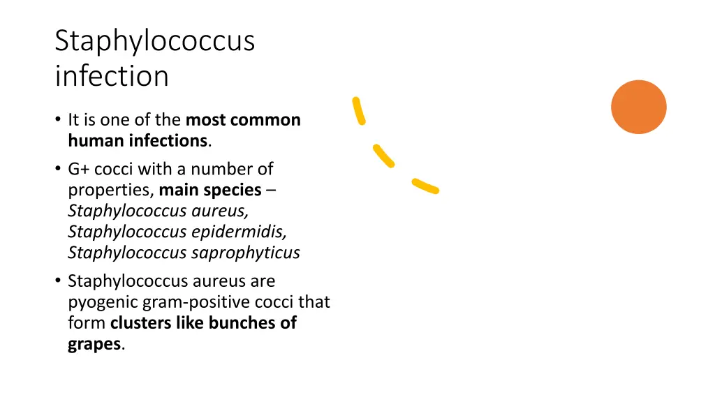 staphylococcus infection