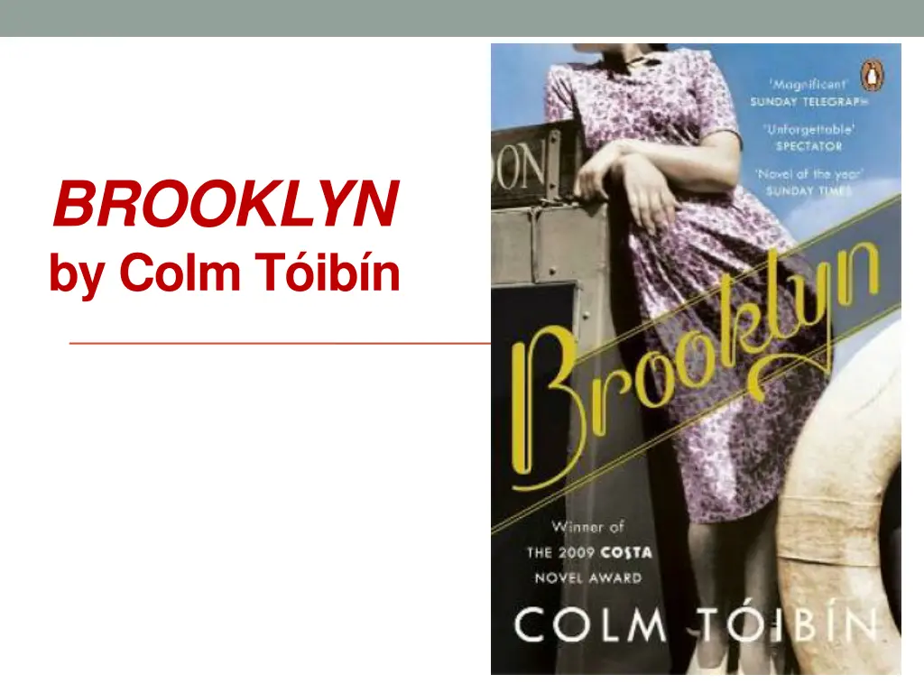brooklyn by colm t ib n