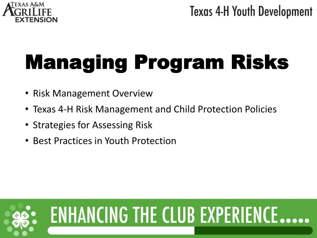 managing program risks managing program risks