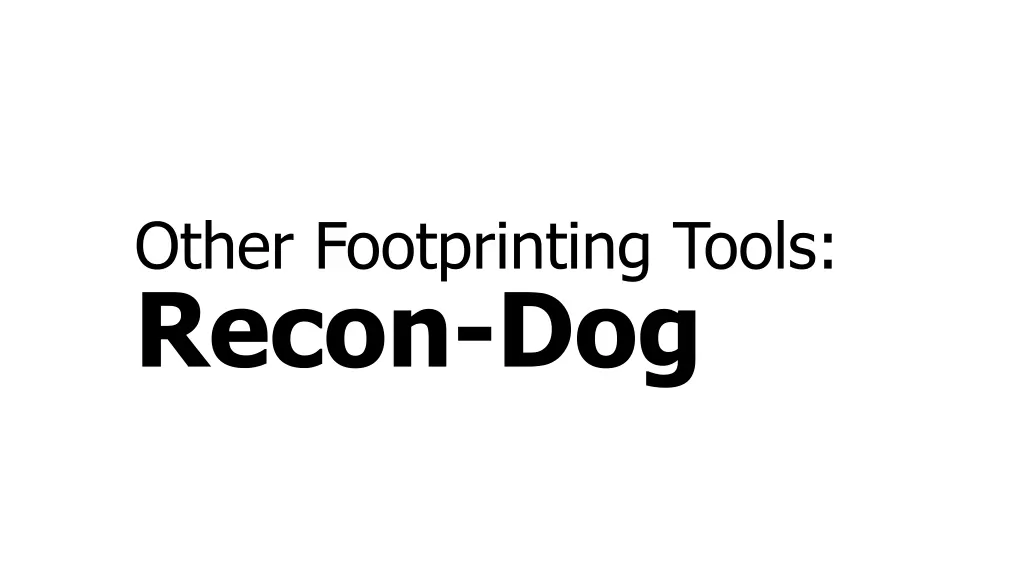 other footprinting tools recon dog