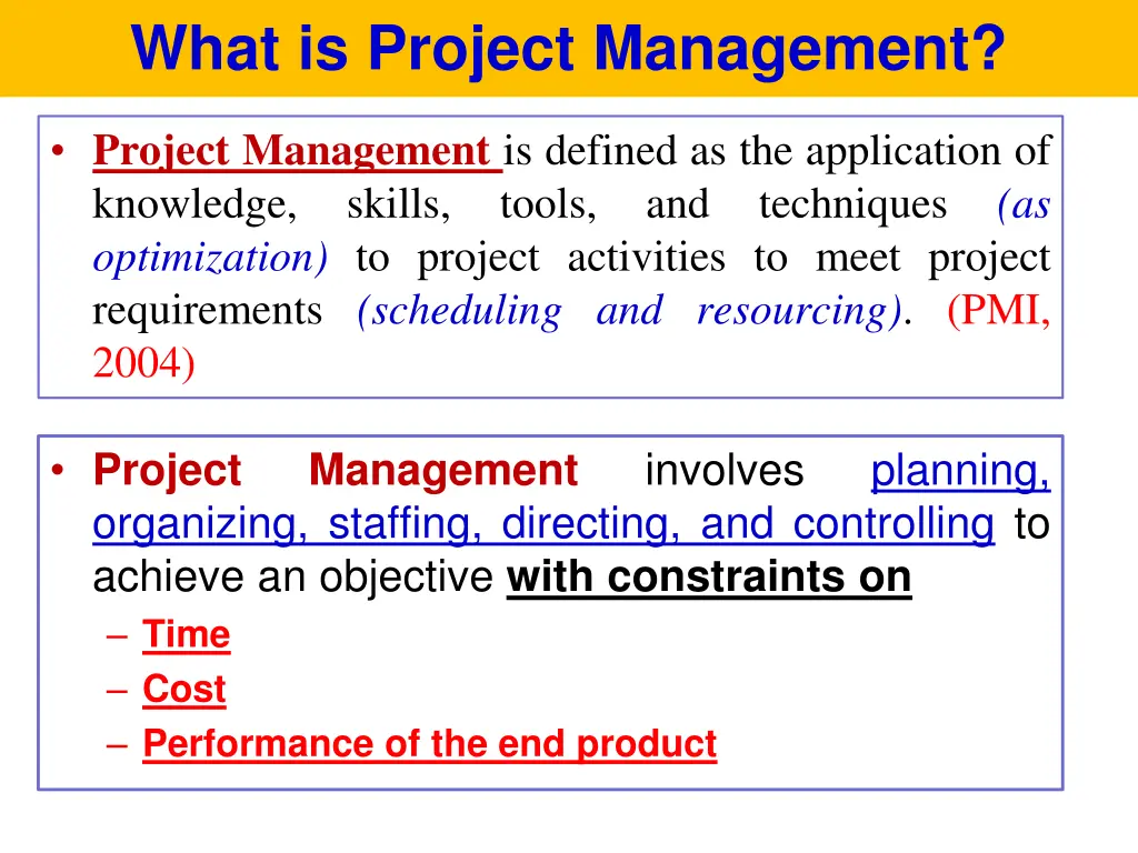 what is project management