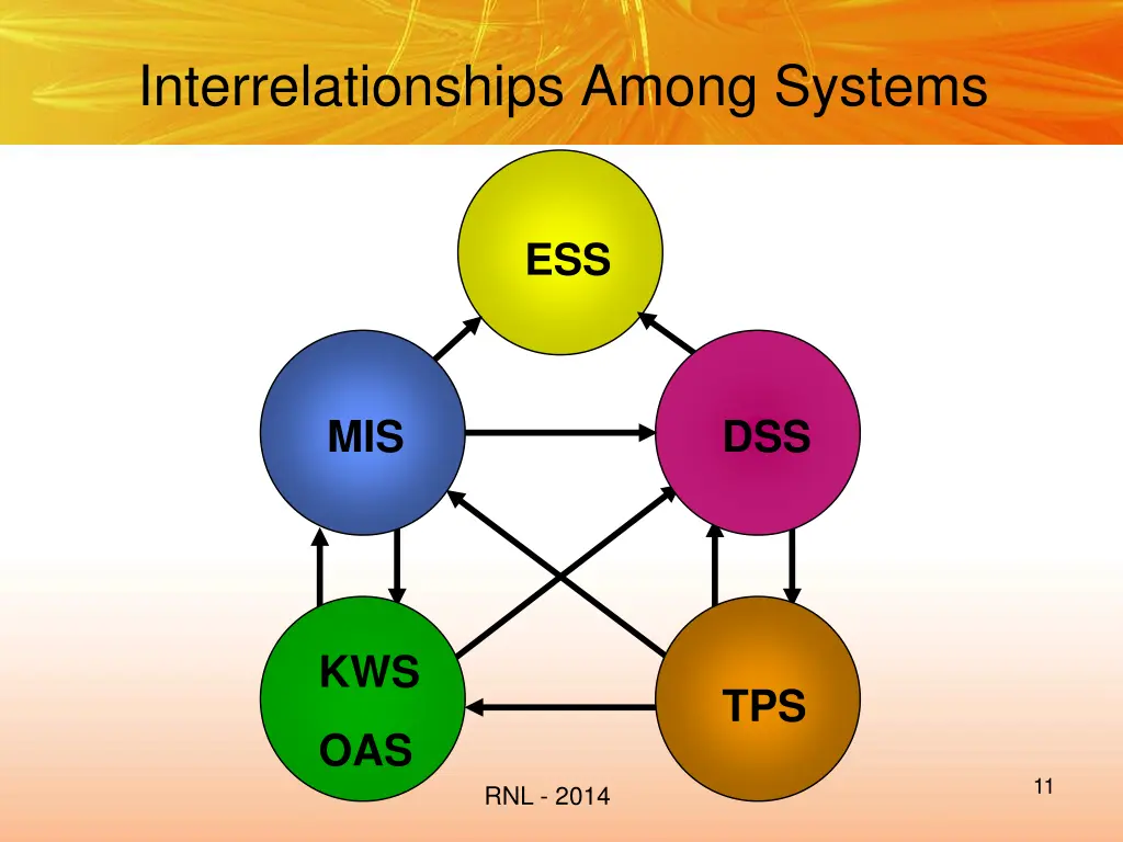 interrelationships among systems