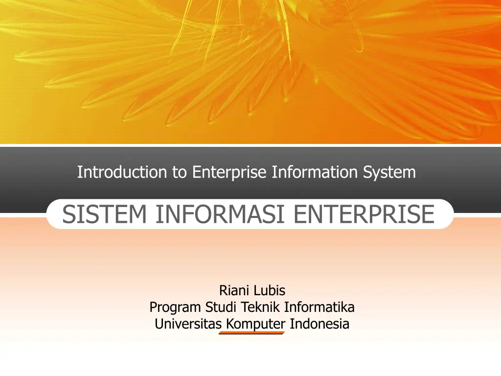 introduction to enterprise information system