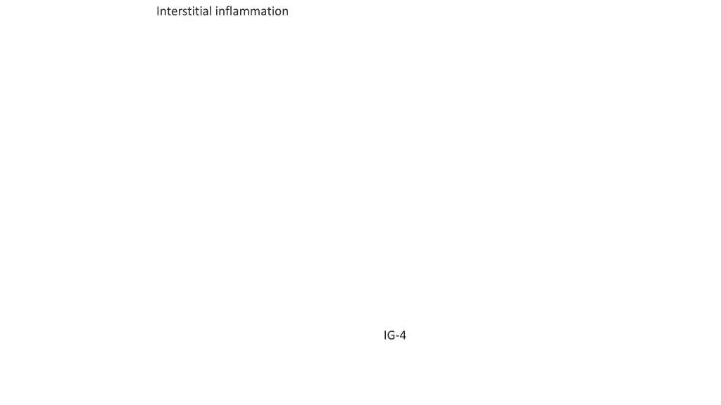 interstitial inflammation