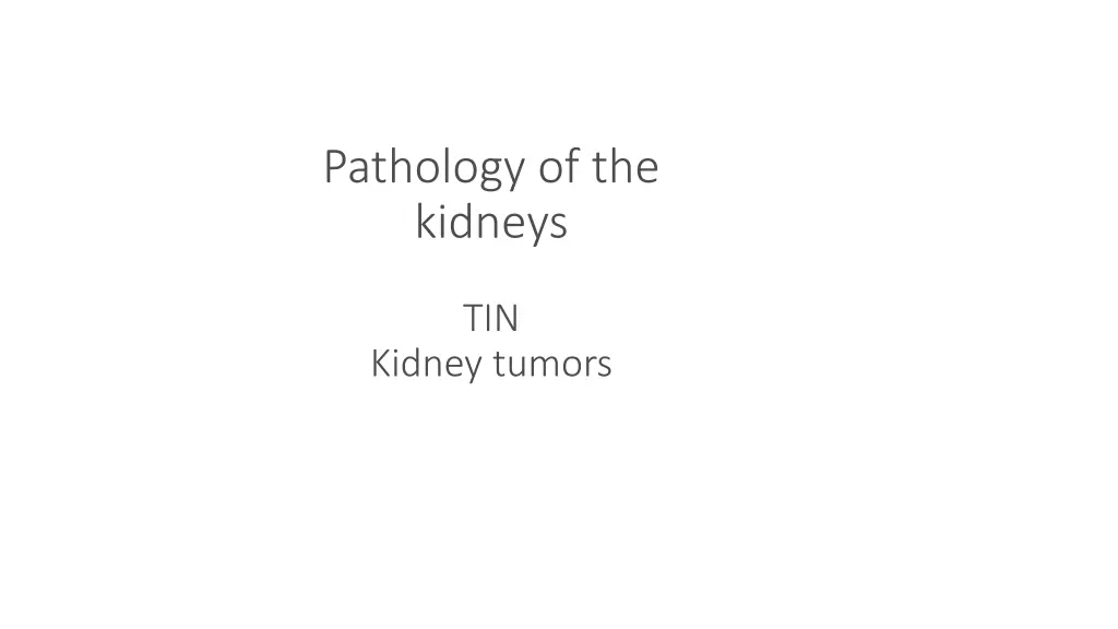 pathology of the kidneys