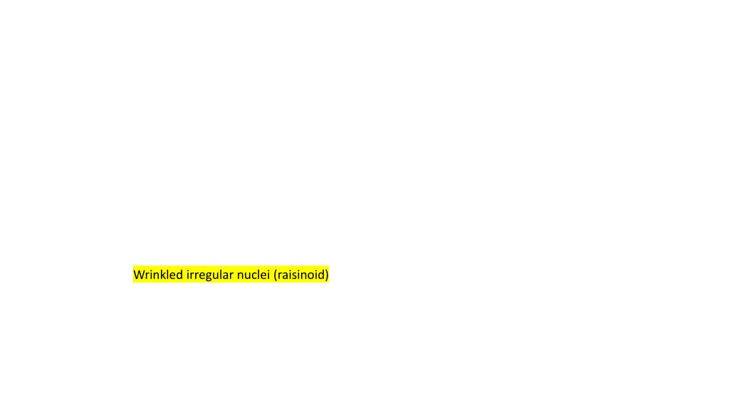 wrinkled irregular nuclei raisinoid