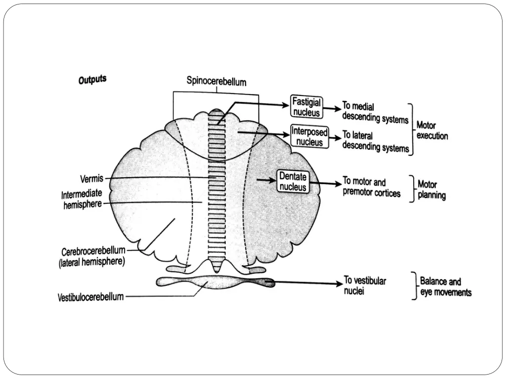 slide9