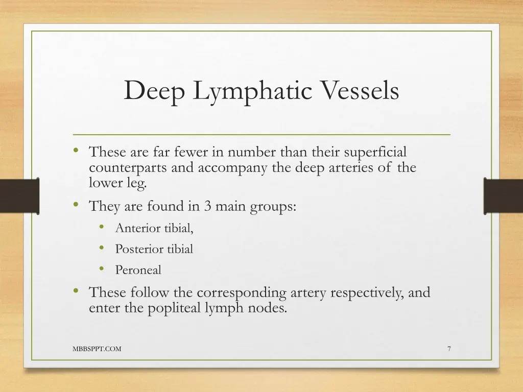 deep lymphatic vessels