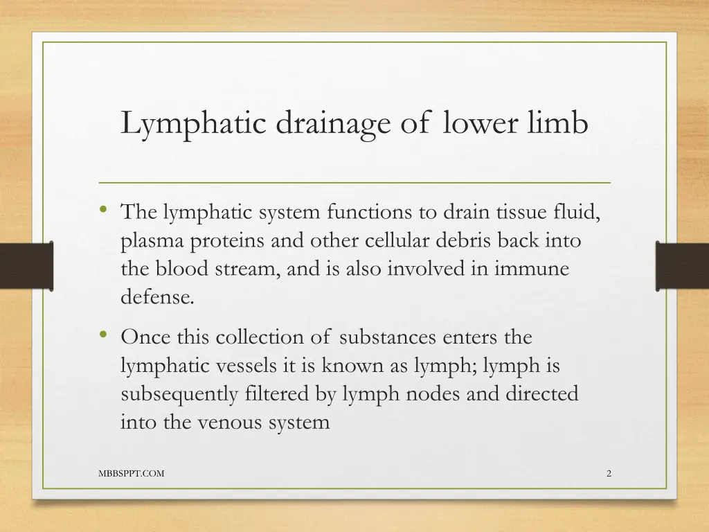 lymphatic drainage of lower limb 1