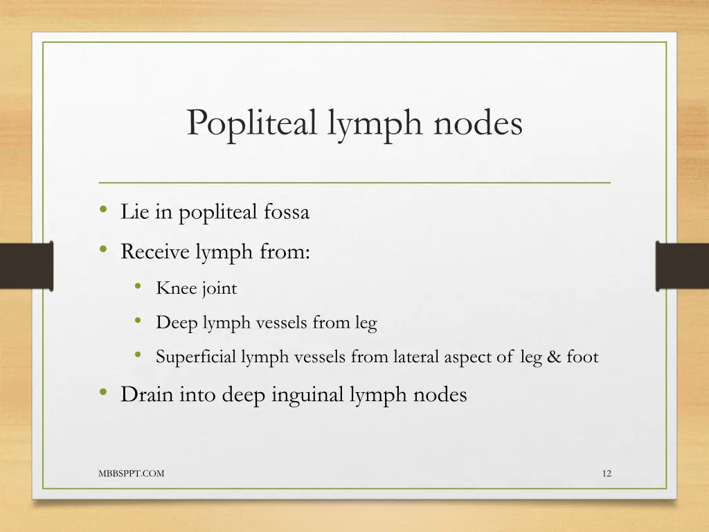 popliteal lymph nodes