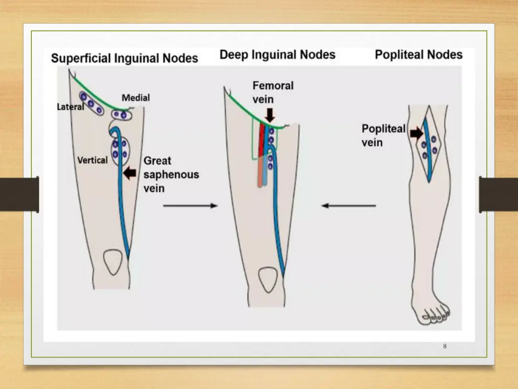 slide8