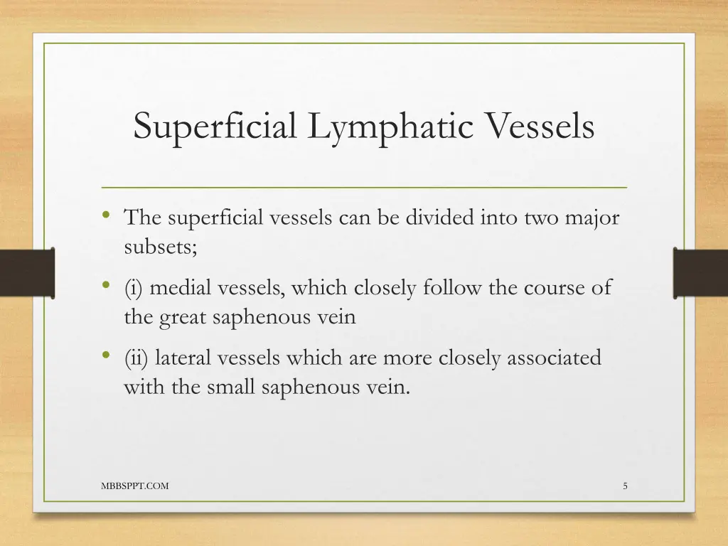 superficial lymphatic vessels