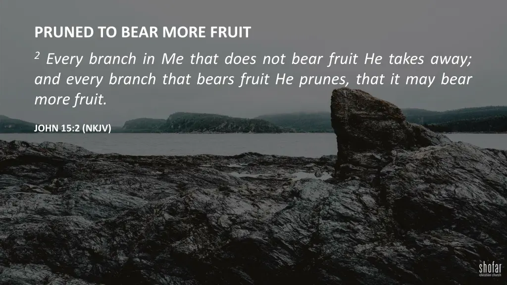 pruned to bear more fruit
