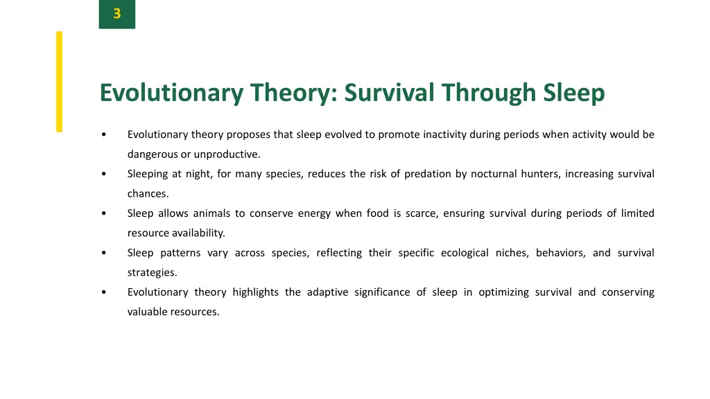 slide5