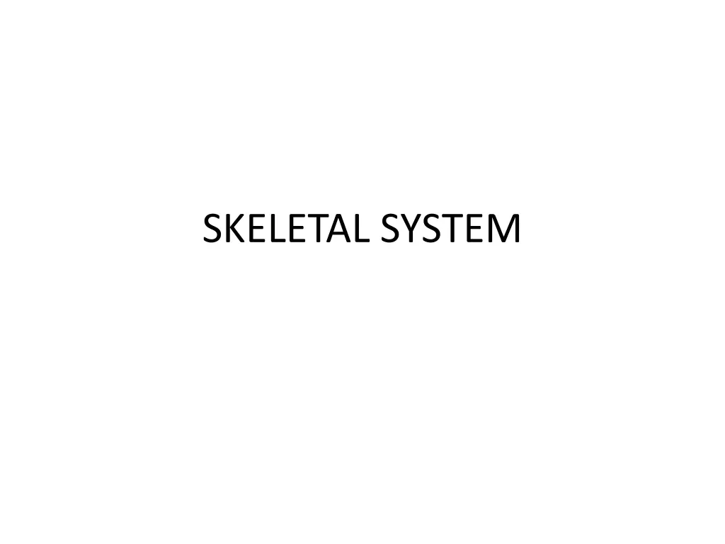 skeletal system