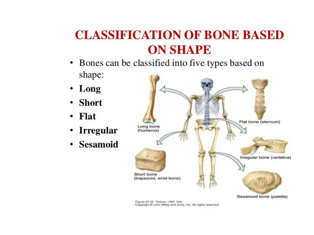 slide3