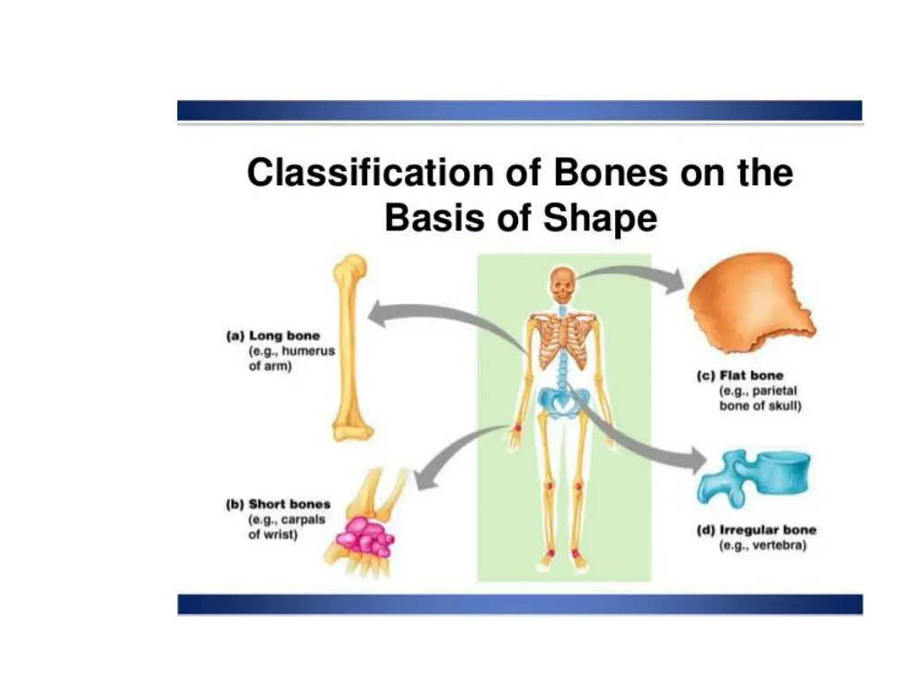 slide4