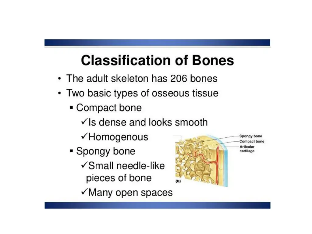 slide5
