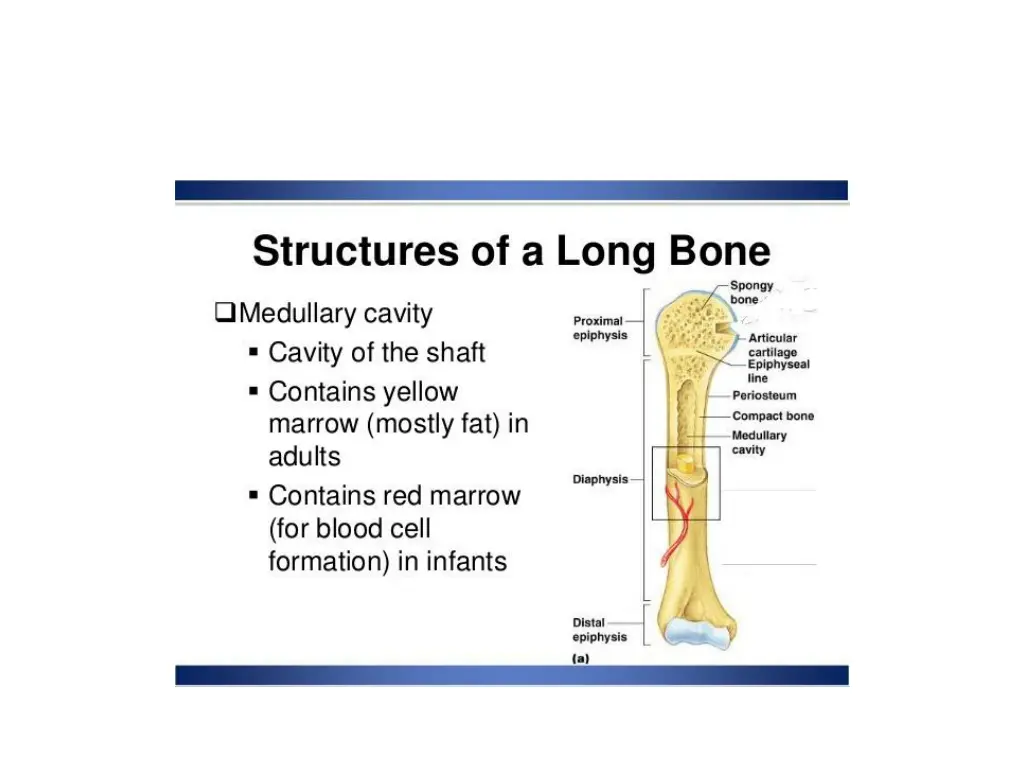 slide6
