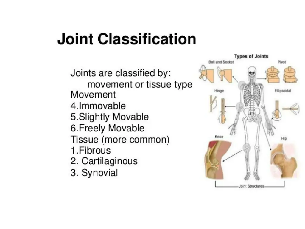 slide7