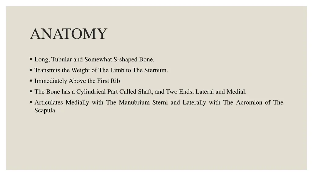 anatomy