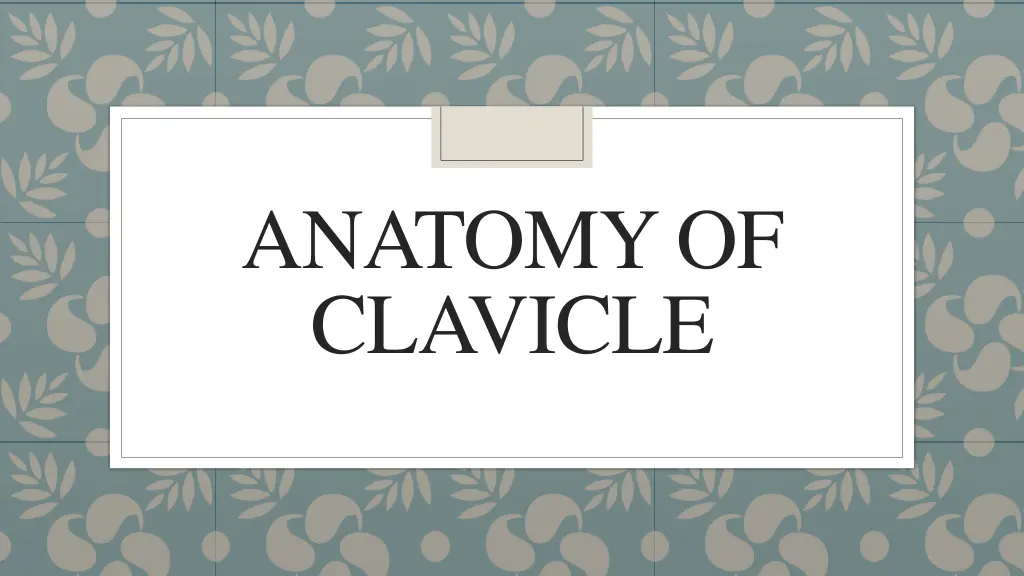 anatomy of clavicle