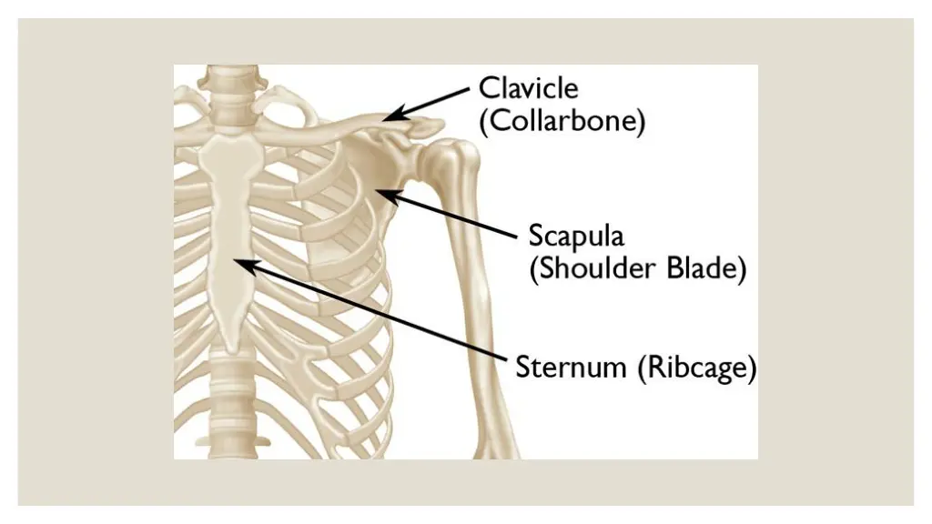 slide3