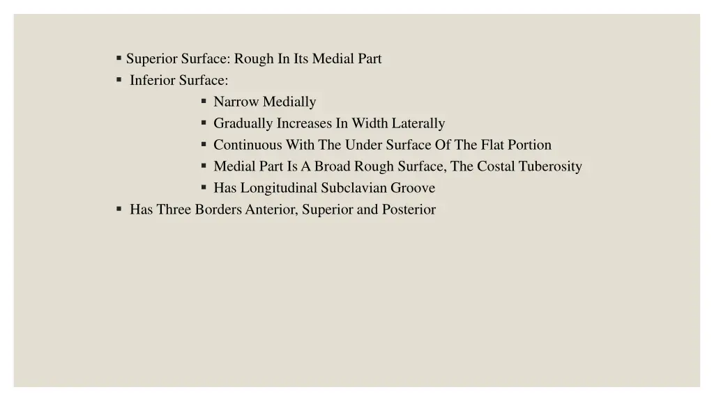 superior surface rough in its medial part