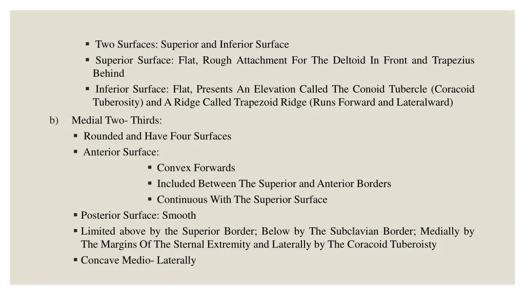 two surfaces superior and inferior surface