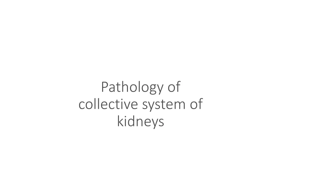 pathology of collective system of kidneys