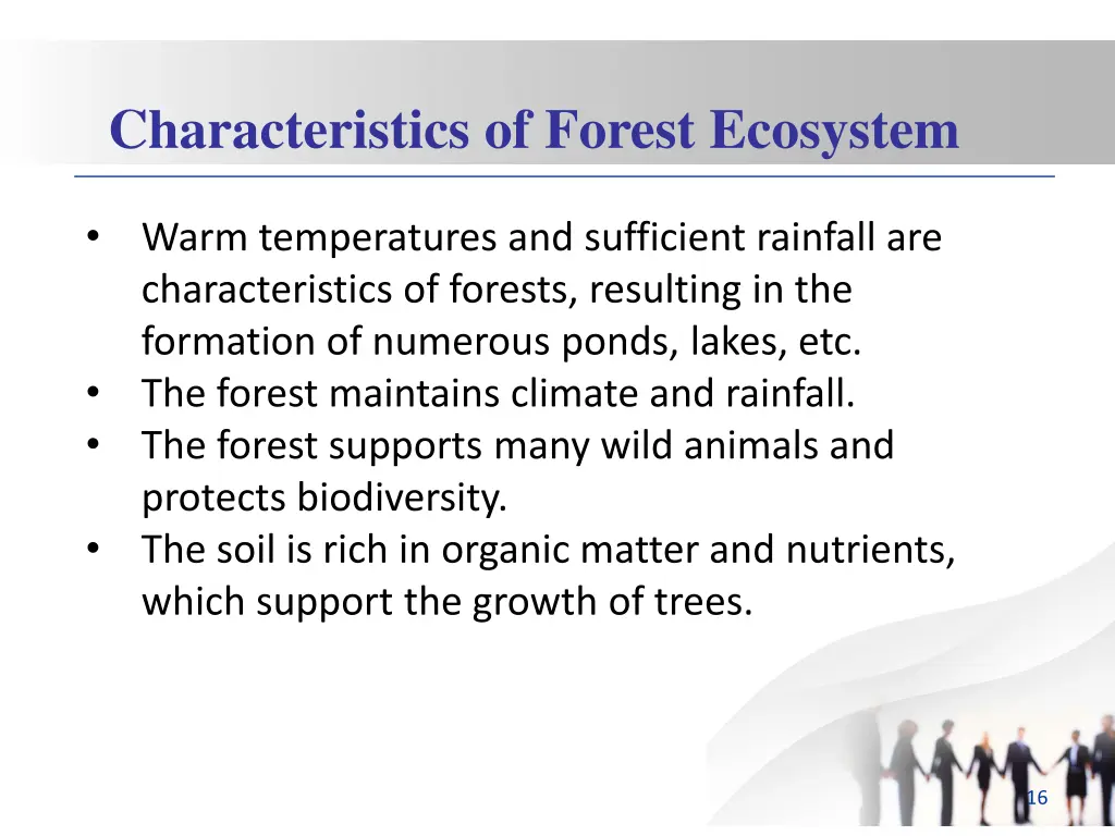 characteristics of forest ecosystem