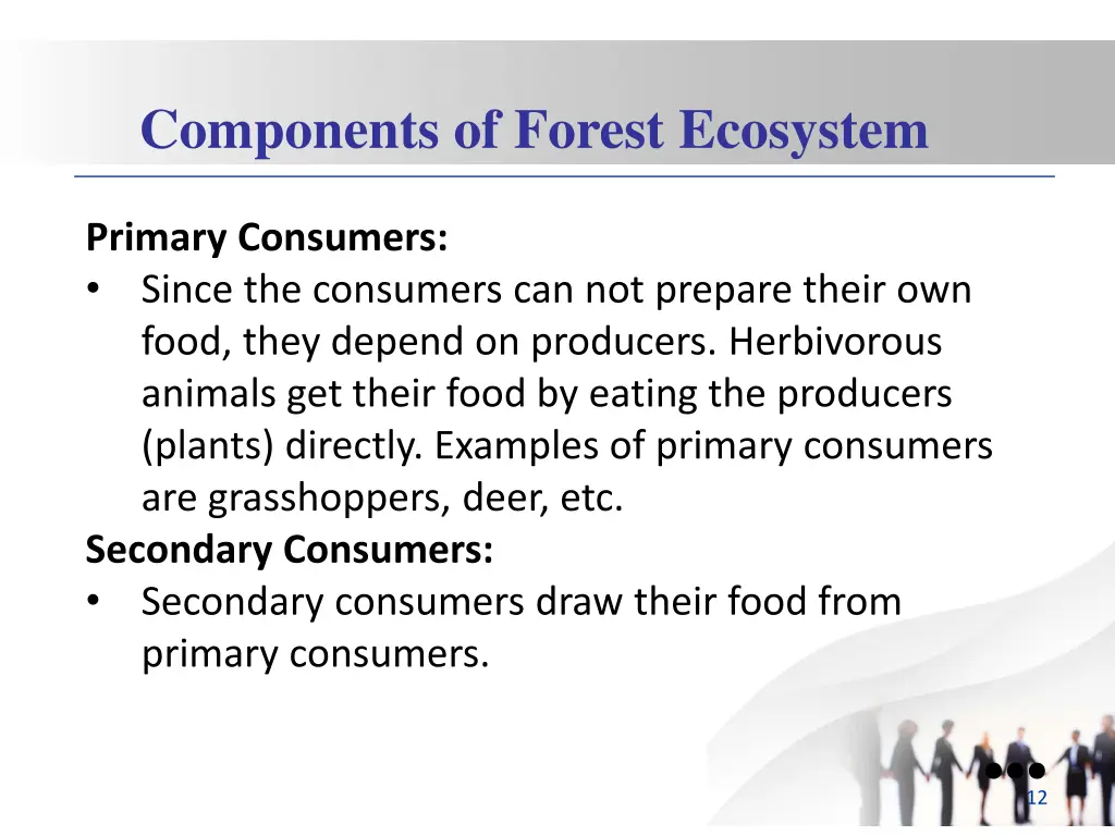 components of forest ecosystem 1
